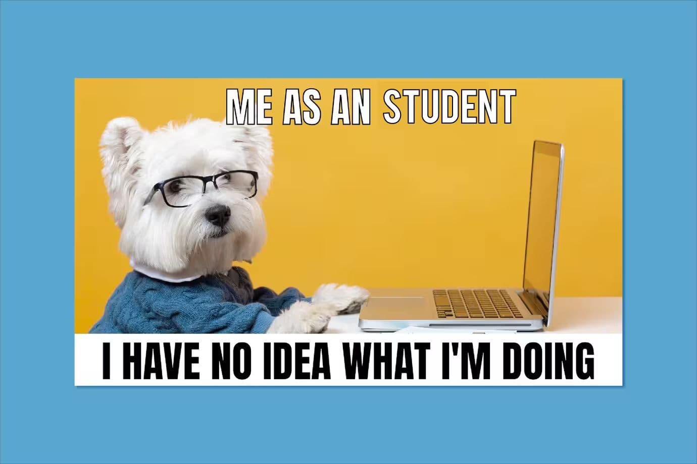 15 Homework Memes Every Student Will Absolutely Love - PaperGen